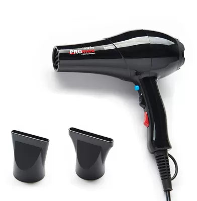 Sechoir FORZA-PRO Noir 2000W avec 2 becs