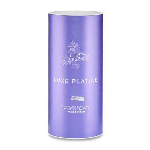 Poudre Déco Bleue Luxe Platine 1kg